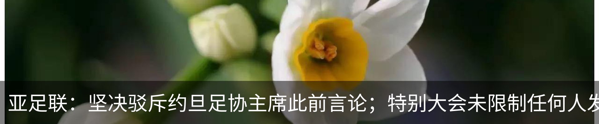 行业资讯
